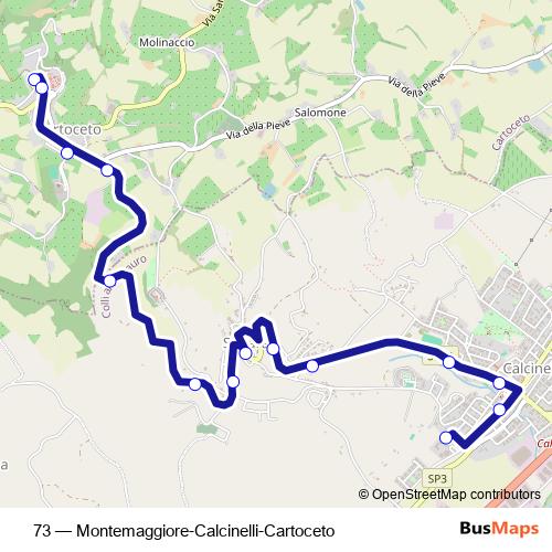 73 bus Line Map