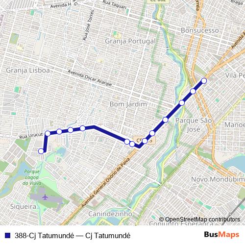 388-Cj Tatumundé bus Line Map