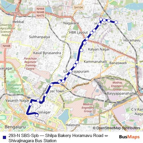 293-N SBS-Spb bus Line Map