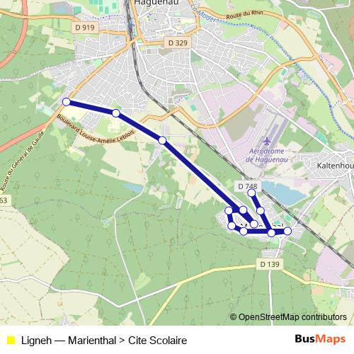 Ligneh bus Line Map