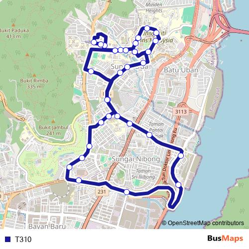 T310 bus Line Map
