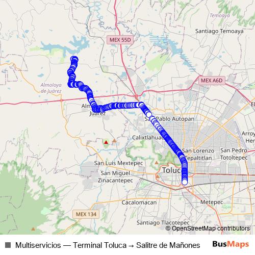 Multiservicios bus Line Map