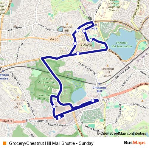 Grocery/Chestnut Hill Mall Shuttle - Sunday bus Line Map