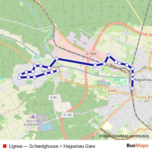Lignea bus Line Map