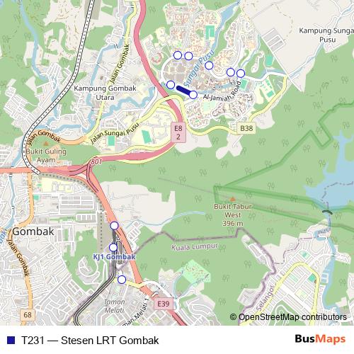T231 bus Line Map