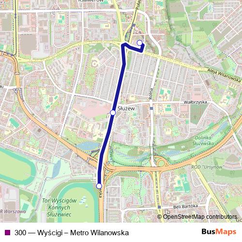 300 bus Line Map