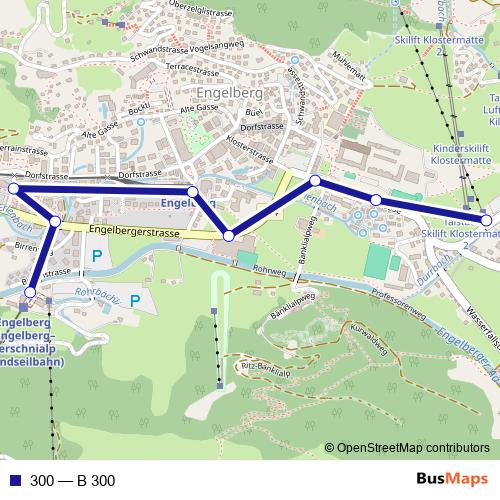 300 bus Line Map