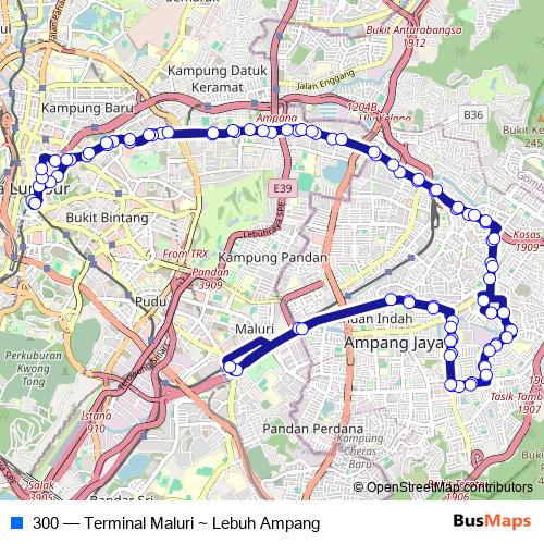 300 bus Line Map