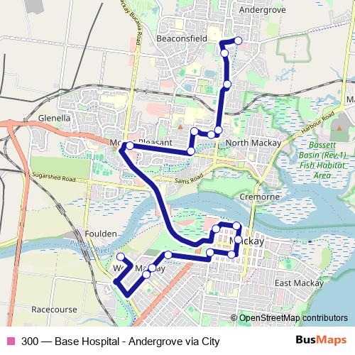300 bus Line Map