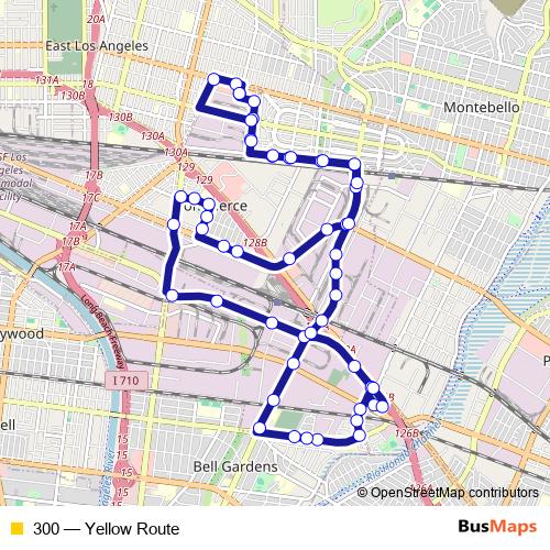 300 bus Line Map