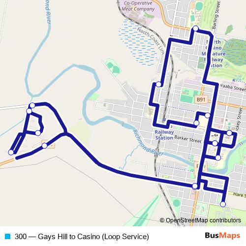 300 bus Line Map