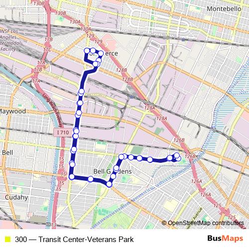 300 bus Line Map