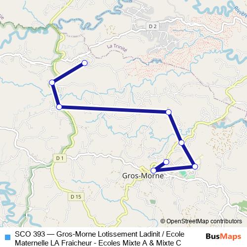 SCO 393 bus Line Map