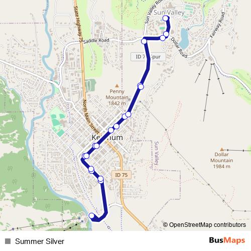 Summer Silver bus Line Map