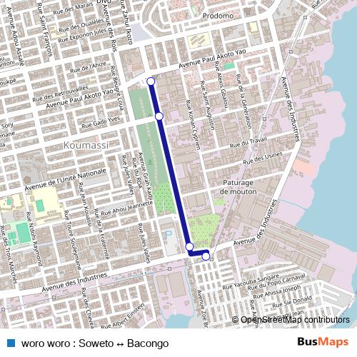 woro woro : Soweto ↔ Bacongo bus Line Map