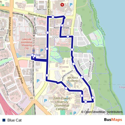 Blue Cat bus Line Map