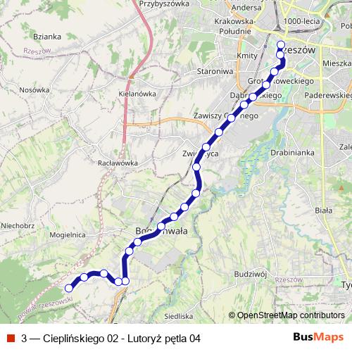 3 bus Line Map