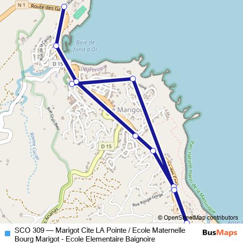 SCO 309 bus Line Map