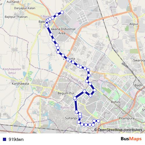919dwn bus Line Map