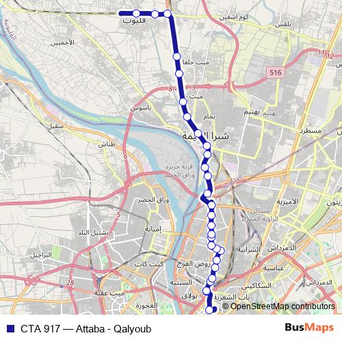 CTA 917 bus Line Map