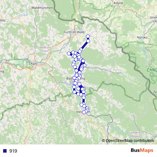 919 bus Line Map