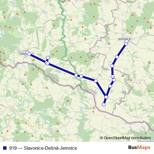 919 bus Line Map