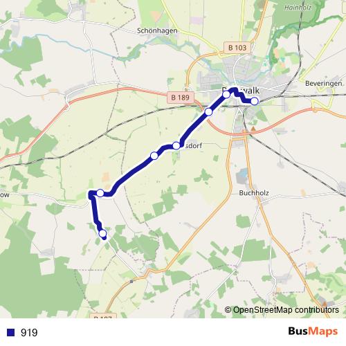 919 bus Line Map