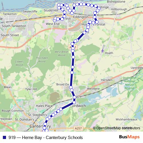 919 bus Line Map