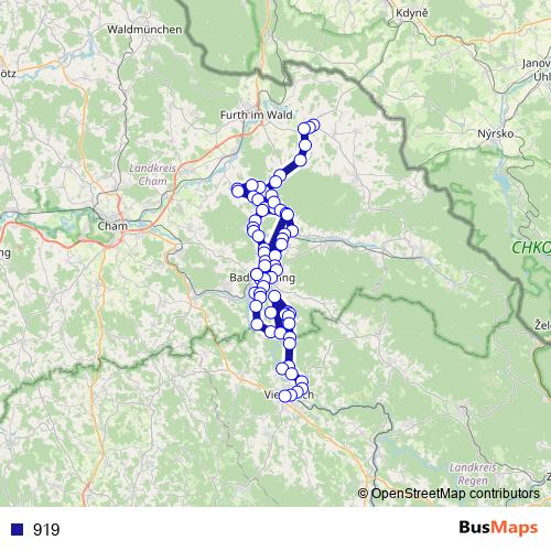 919 bus Line Map