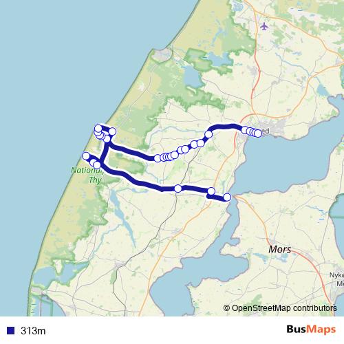 313m bus Line Map