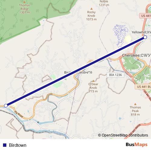 Birdtown bus Line Map