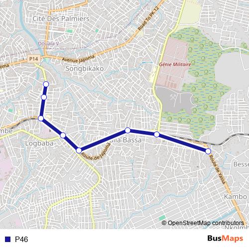 P46 bus Line Map