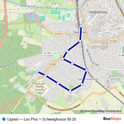 Ligned bus Line Map