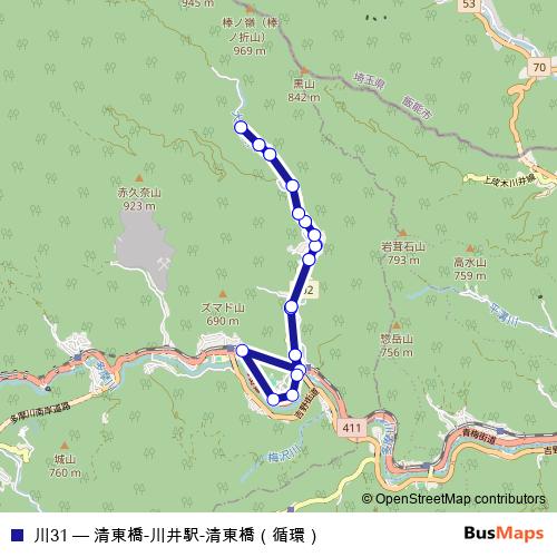 川31 bus Line Map