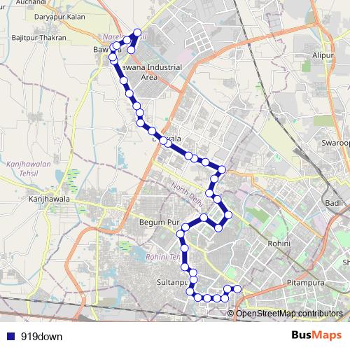 919down bus Line Map