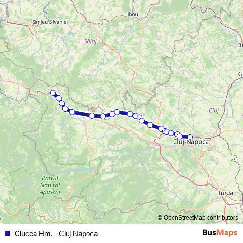 Ciucea Hm. - Cluj Napoca bus Line Map