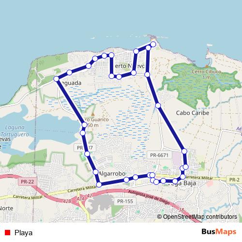 Playa bus Line Map