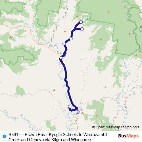 S391 bus Line Map