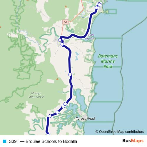 S391 bus Line Map