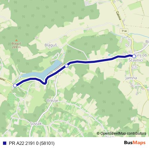 PR A22 2191 0 (58101) bus Line Map