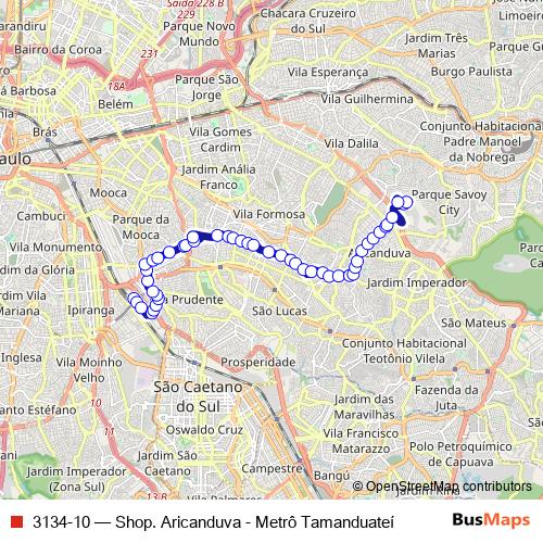 3134-10 bus Line Map