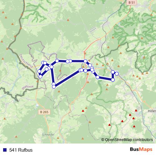 541 Rufbus bus Line Map