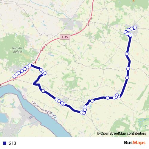 213 bus Line Map