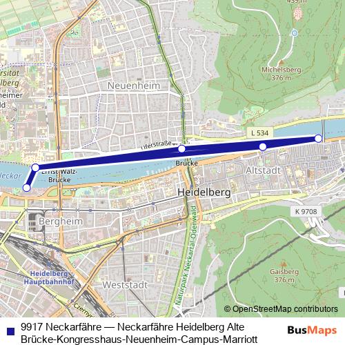 9917 Neckarfähre ferry Line Map