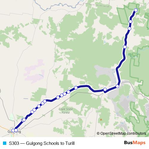 S303 bus Line Map
