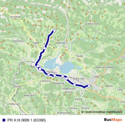 PR A18 0699 1 (63390) bus Line Map