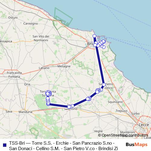 TSS-Bri bus Line Map
