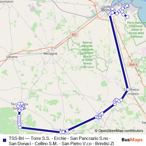 TSS-Bri bus Line Map