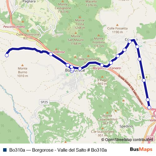 Bo310a bus Line Map