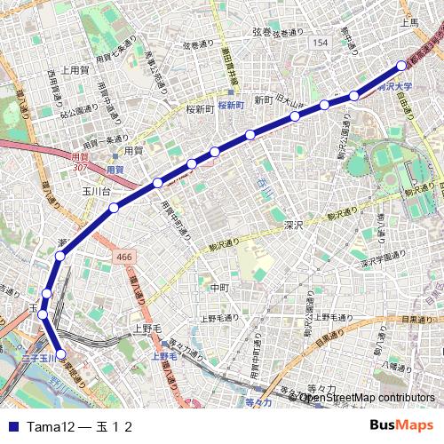 Tama12 bus Line Map